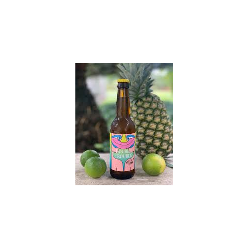 Double trouble IPA 24x33cl FLES